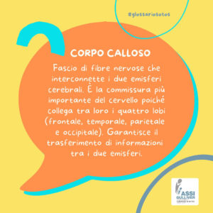 corpo-calloso